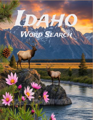 Idaho - 64 Large Print Word Searches (Paperback)