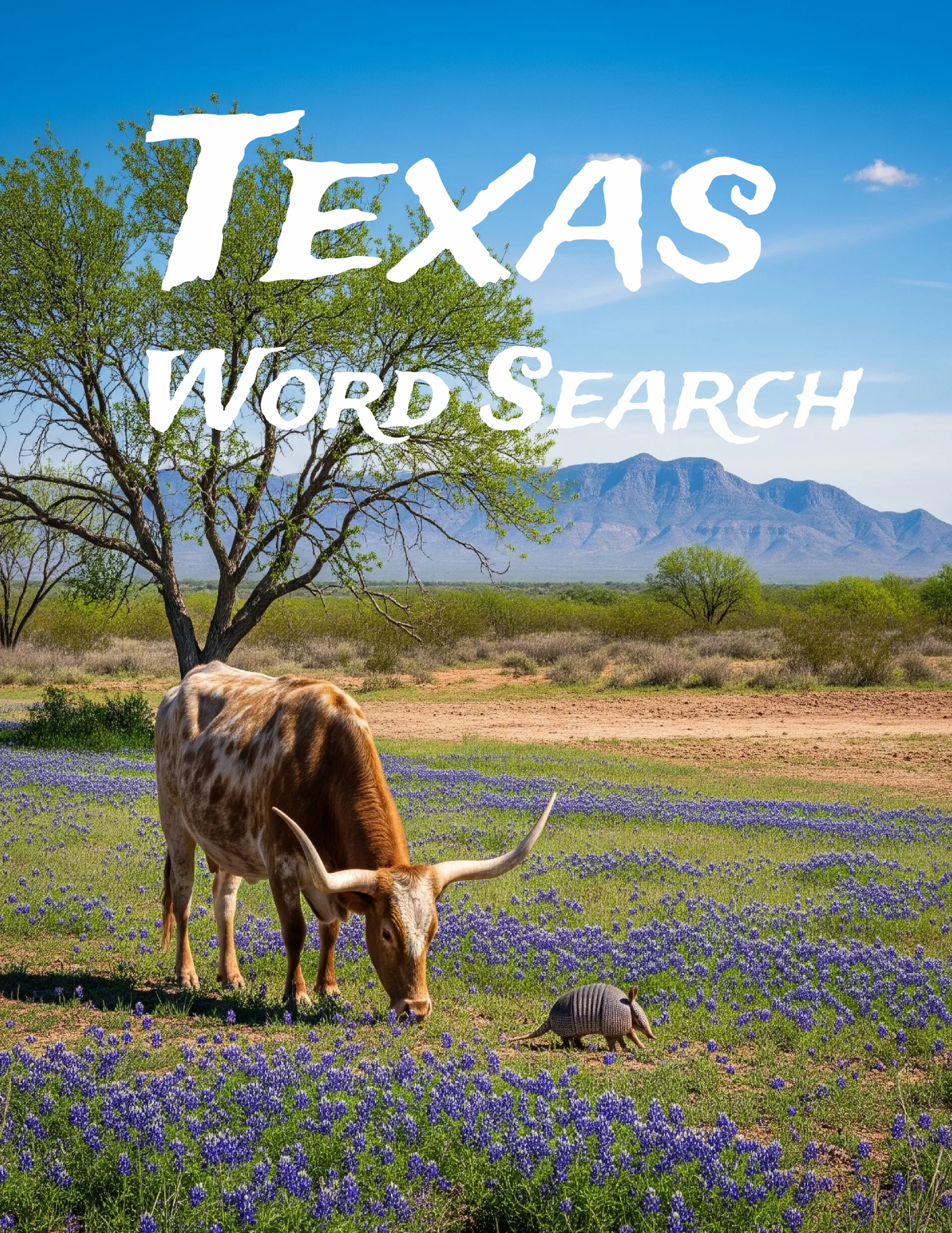 Texas Word Search Cover