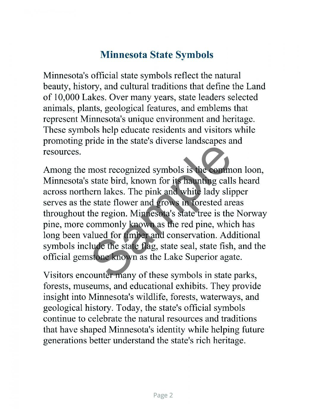 Minnesota Word Search – 64 Large Print Puzzles (Digital Download) - Image 2