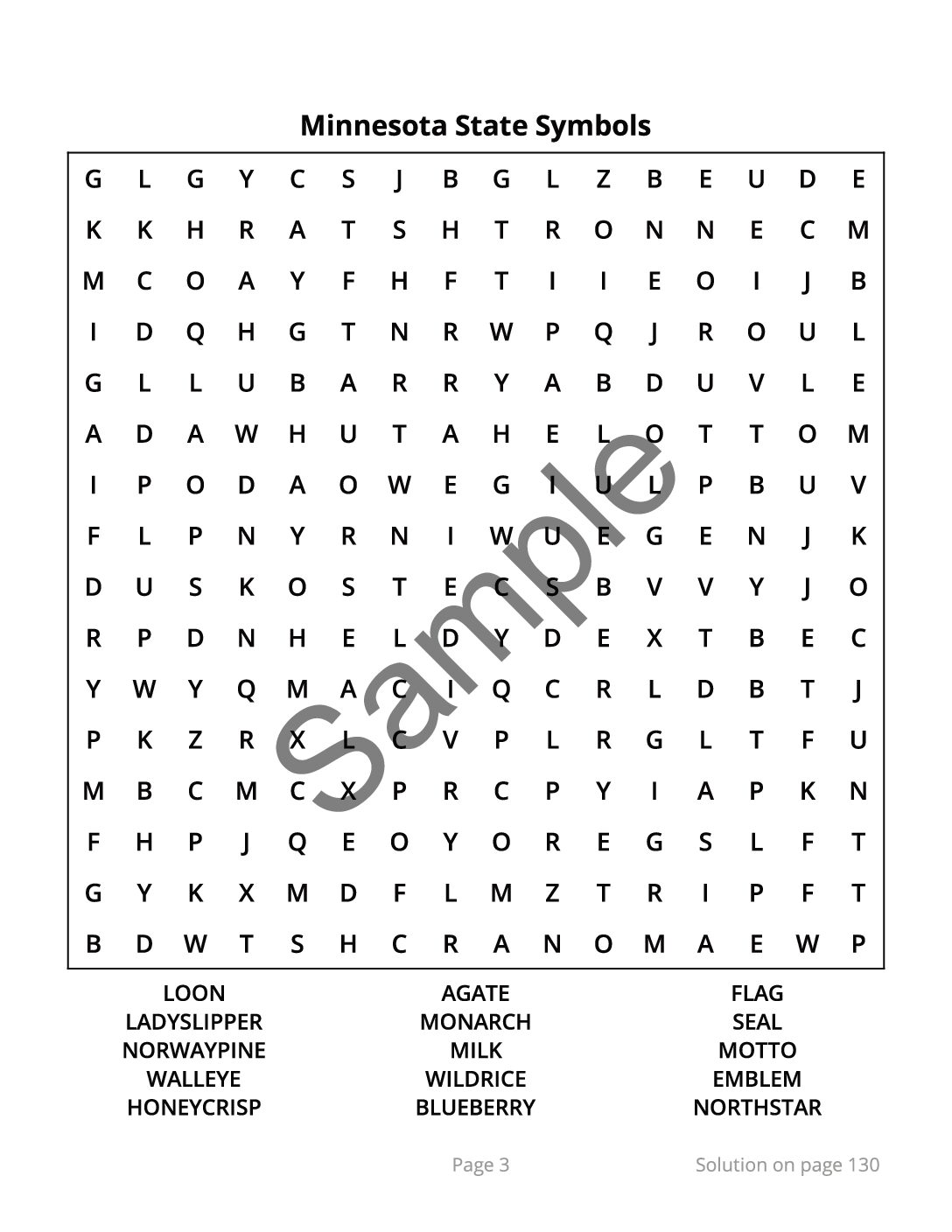 Minnesota Word Search – 64 Large Print Puzzles (Digital Download) - Image 3